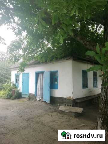 Дом 30 м² на участке 10 сот. на продажу в Великовечном Великовечное - изображение 1