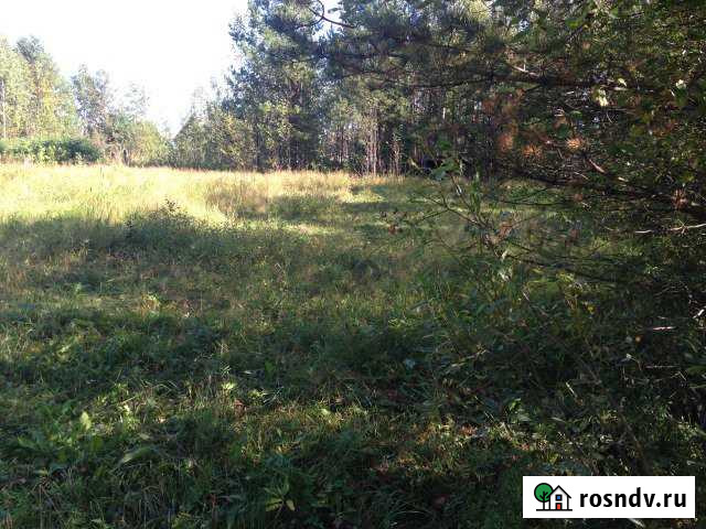 Участок СНТ, ДНП 10 сот. на продажу в Выльгорте Выльгорт - изображение 1