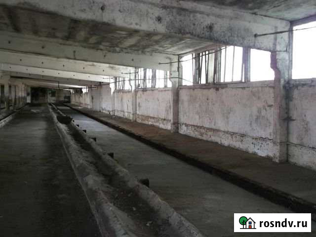 Производственное помещение, 1650 кв.м. Люберцы - изображение 1