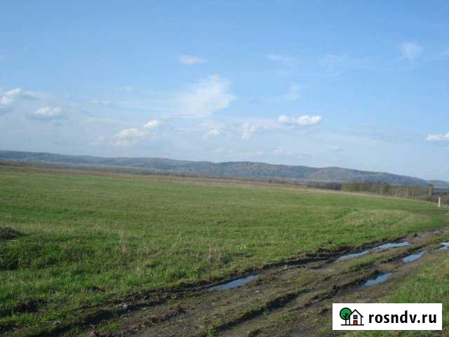 Участок СНТ, ДНП 290 сот. на продажу в Мысках Мыски - изображение 1