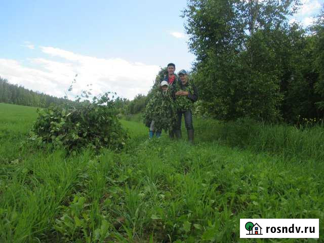 Участок ИЖС 45 сот. на продажу в Линде Линда - изображение 1