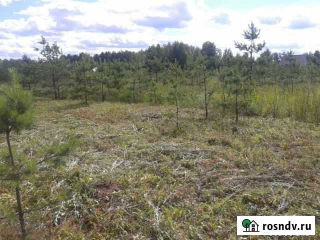 Участок СНТ, ДНП 20 сот. на продажу в Петушках Петушки - изображение 1