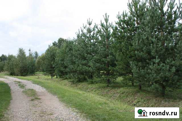 Участок СНТ, ДНП 350 сот. на продажу в Карабаново Карабаново - изображение 1