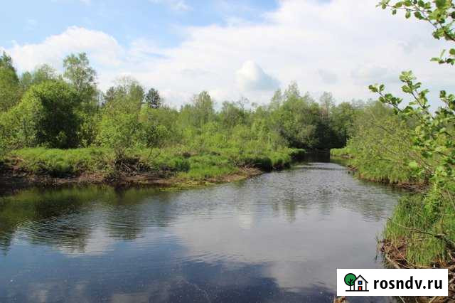 Участок СНТ, ДНП 392 сот. на продажу в Волхове Волхов - изображение 1