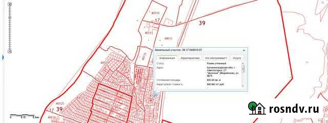 Участок СНТ, ДНП 6 сот. на продажу в Донском Калининградской области Донское - изображение 1