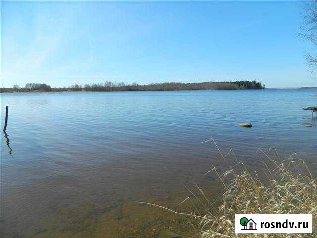 Участок ИЖС 21 сот. на продажу в Шексне Шексна - изображение 1