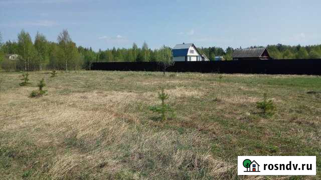 Участок ИЖС 21 сот. на продажу в Петушках Петушки - изображение 1