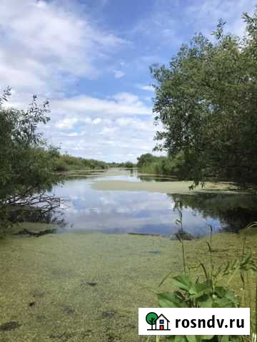 Дом 90 м² на участке 25 сот. на продажу в Алейске Алейск - изображение 1