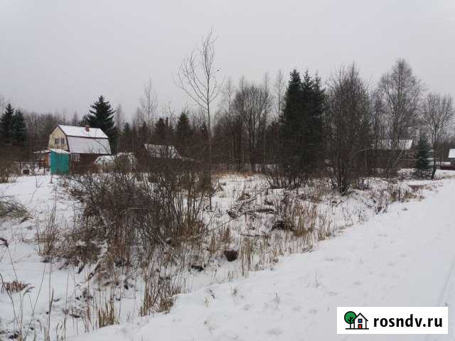 Участок СНТ, ДНП 15 сот. на продажу в Чудово Чудово - изображение 1