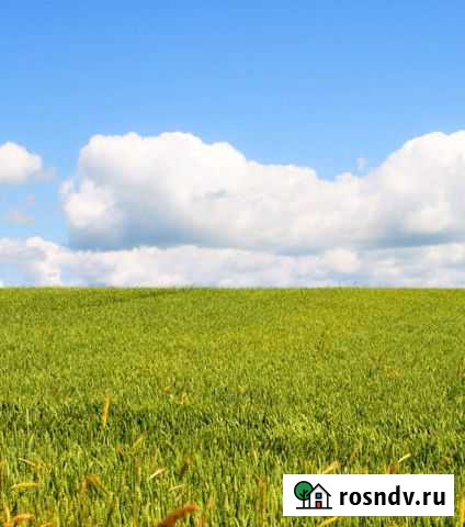 Участок СНТ, ДНП 380 сот. на продажу в Клинцах Клинцы - изображение 1