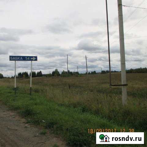 Участок СНТ, ДНП 1000 сот. на продажу в Елово Елово - изображение 1