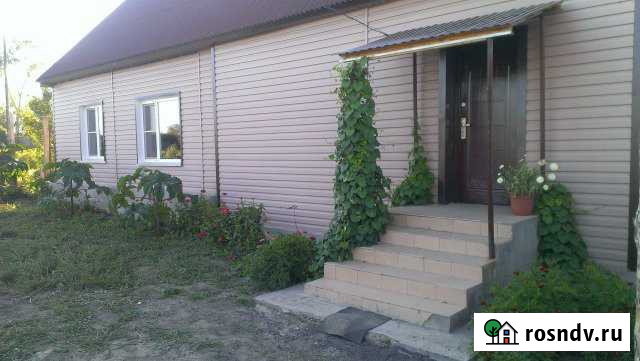 Дом 66 м² на участке 35 сот. на продажу в Шелаболихе Шелаболиха - изображение 1