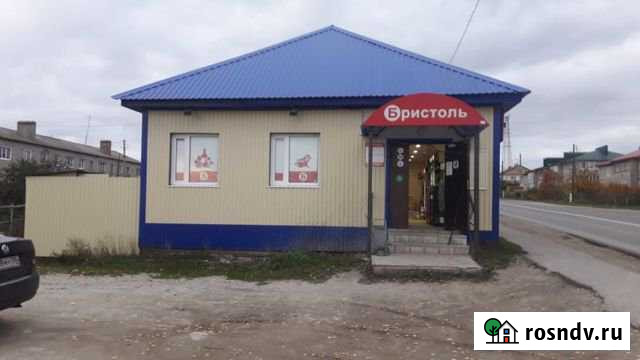 Помещение свободного назначения, 131 кв.м. Шемышейка - изображение 1