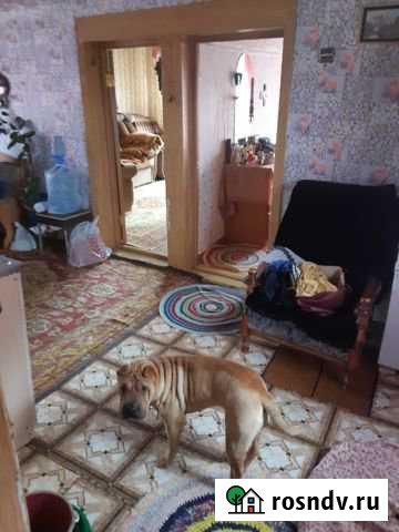 Дом 46 м² на участке 20 сот. на продажу в Первомайском Алтайского края Первомайское - изображение 1