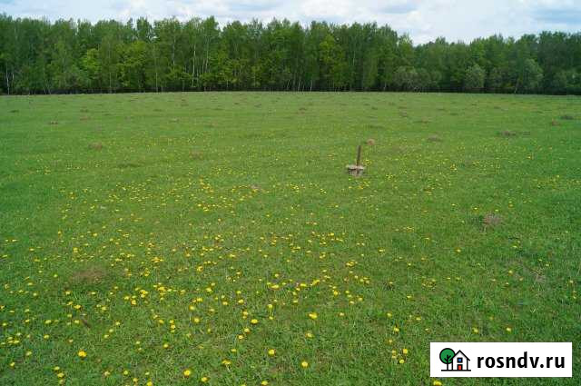 Участок СНТ, ДНП 15 сот. на продажу в Кашире Кашира - изображение 1