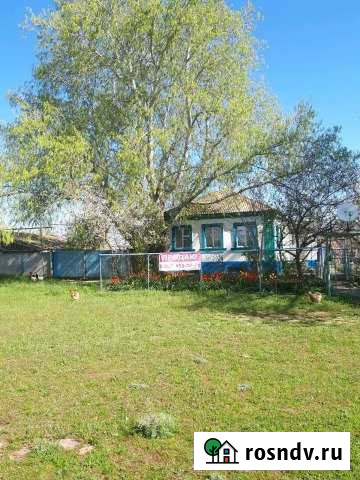 Дом 60 м² на участке 40 сот. на продажу в Ипатово Ипатово - изображение 1