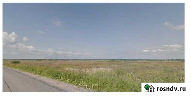 Участок СНТ, ДНП 3508 сот. в аренду в Санкт-Петербурге Санкт-Петербург - изображение 1