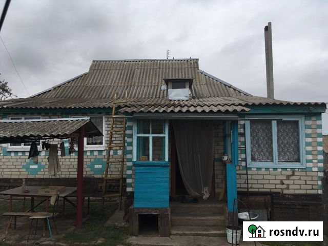 Дом 60 м² на участке 34 сот. на продажу в Борисовке Борисовка - изображение 1