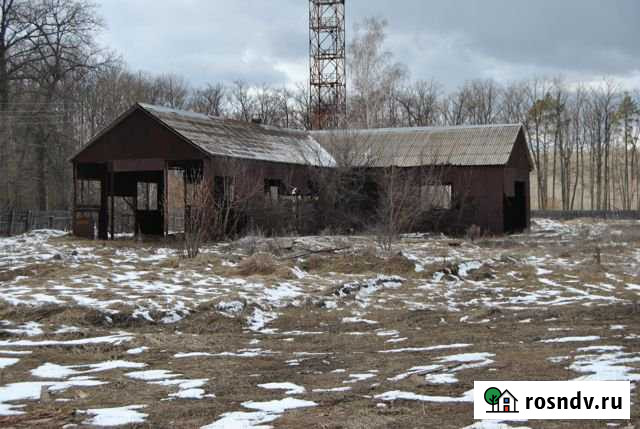 Помещение свободного назначения, 400.3 кв.м. Воронеж - изображение 1