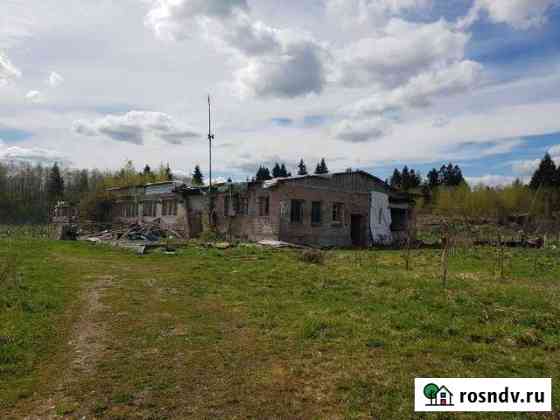 Фермерское хозяйство, 1710.4 кв.м. Сиверский