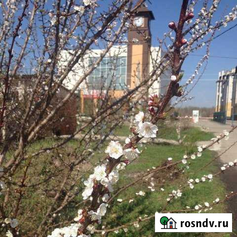 Торговое помещение, 2800 кв.м. Новая Усмань - изображение 1