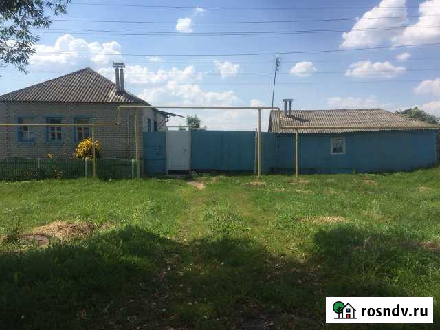 Дом 57 м² на участке 54 сот. на продажу в Роговатом Роговатое - изображение 1