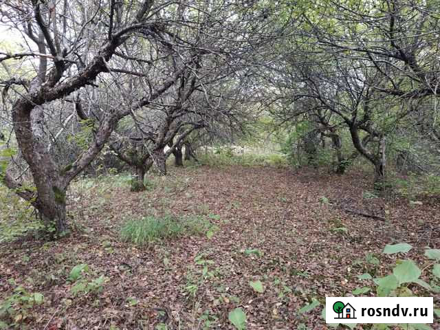 Участок СНТ, ДНП 70 сот. на продажу в Григорьевской Григорьевская - изображение 1