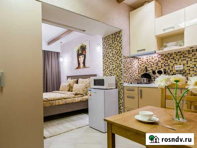 Апартаменты в нежилом фонде с доходом Санкт-Петербург - изображение 1