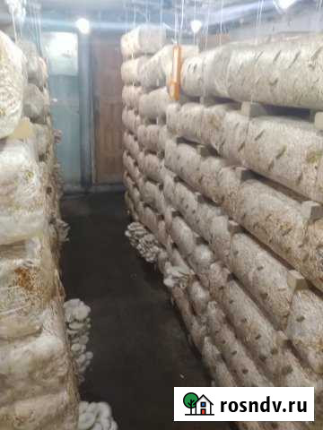 Гараж >30 м² на продажу в Волгодонске Волгодонск - изображение 1