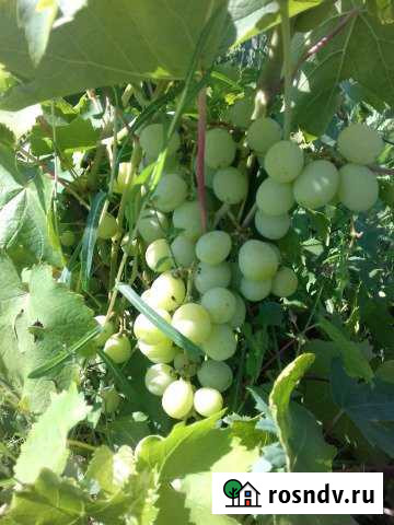 Дача 150 м² на участке 16 сот. на продажу в Приволжском Саратовской области Приволжский - изображение 1