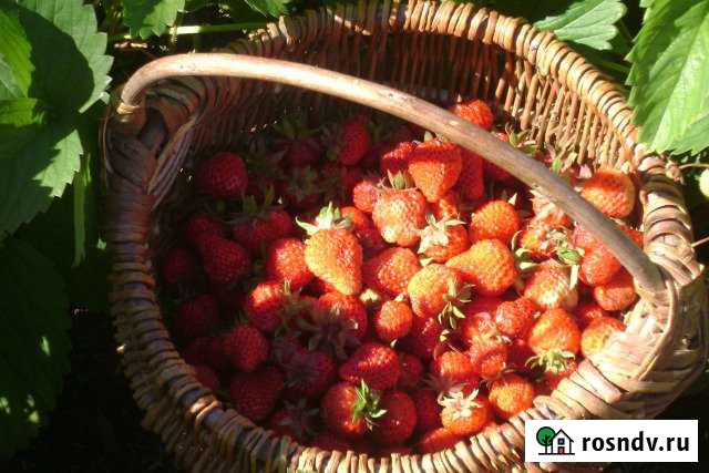 Дача 20 м² на участке 18 сот. на продажу в Когалыме Когалым - изображение 1