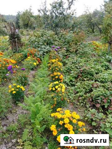 Дача 20 м² на участке 4 сот. на продажу во Владимире Владимир - изображение 1