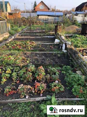 Дача 25 м² на участке 6.5 сот. на продажу в Костроме Кострома - изображение 1