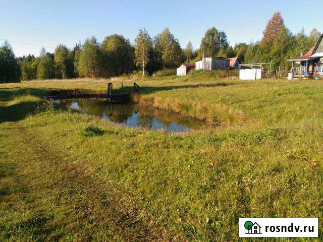 Дача 40 м² на участке 14 сот. на продажу в Добрянке Добрянка - изображение 1