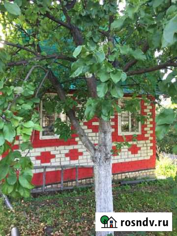 Дача 40 м² на участке 5 сот. на продажу в Нижних Вязовых Нижние Вязовые - изображение 1