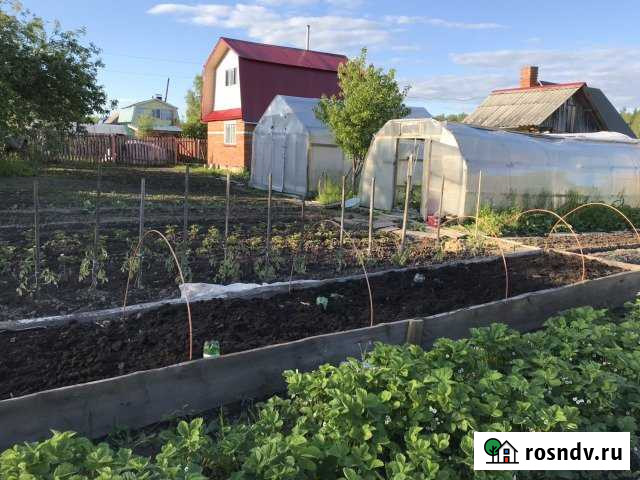 Дача 40 м² на участке 6 сот. на продажу в Оршанке Оршанка - изображение 1