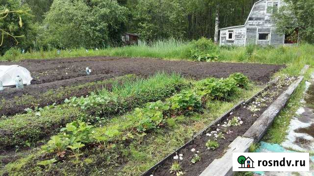 Дача 50 м² на участке 10 сот. на продажу в Ростове Ростов - изображение 1