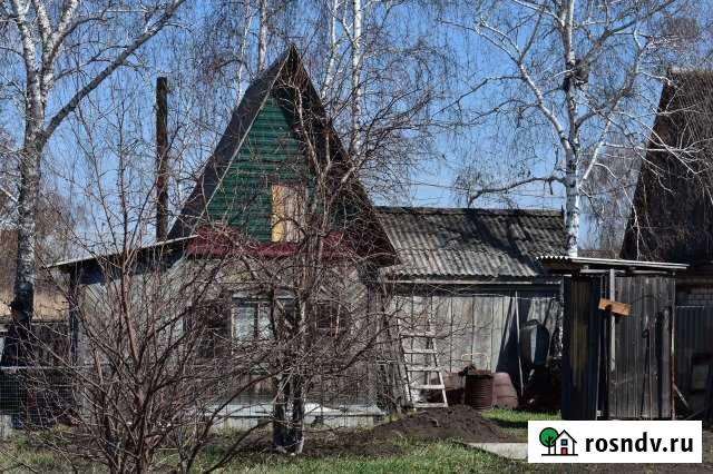 Дача 50 м² на участке 5.9 сот. на продажу в Камне-на-Оби Камень-на-Оби - изображение 1