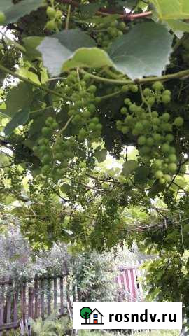 Дача 80 м² на участке 6 сот. на продажу в Кетово Кетово - изображение 1