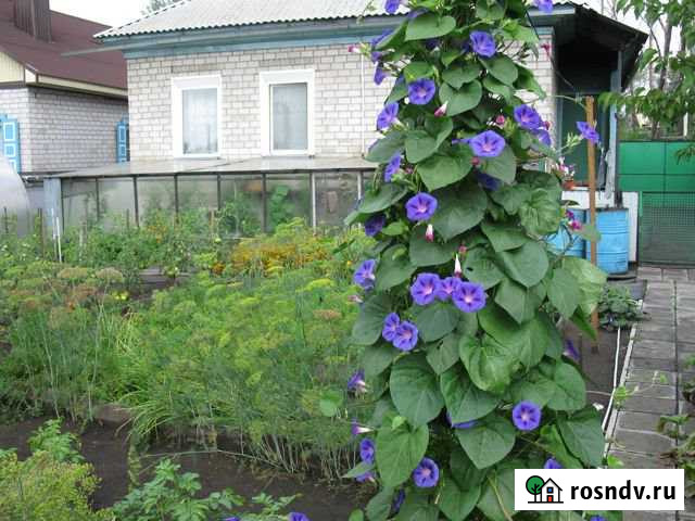 Дом 154 м² на участке 6.6 сот. на продажу в Черногорске Черногорск - изображение 1