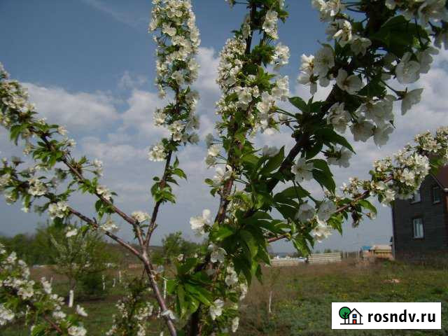 Дом 198 м² на участке 15 сот. на продажу в Дубовом Дубовое - изображение 1