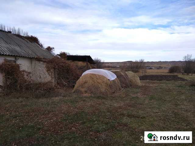 Дом 20 м² на участке 55 сот. на продажу в Валуйках Валуйки - изображение 1