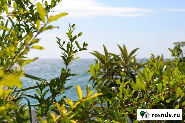 Дом 200 м² на участке 6 сот. на продажу в Ялте Ялта - изображение 1