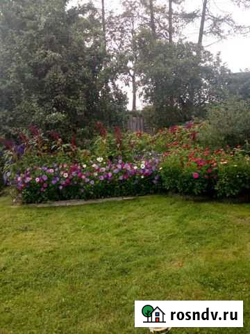 Дом 28.4 м² на участке 50 сот. на продажу на Острове Остров - изображение 1