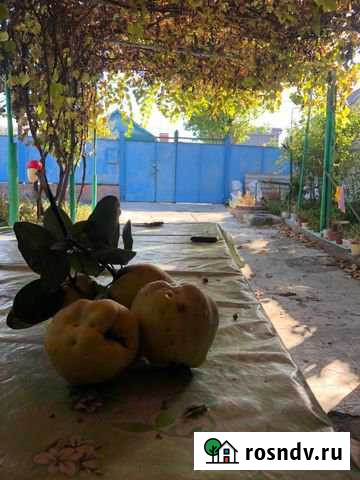 Дом 35 м² на участке 6 сот. на продажу в Азове Азов - изображение 1