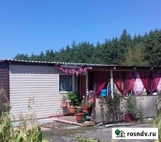 Дом 38 м² на участке 18 сот. на продажу в Городище Белгородской области Городище - изображение 1