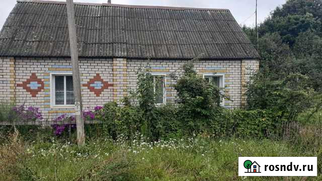 Дом 48 м² на участке 18 сот. на продажу в Невеле Невель - изображение 1