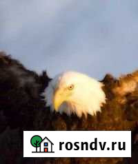 Дом 50 м² на участке 1 сот. на продажу в Малой Пурге Малая Пурга - изображение 1