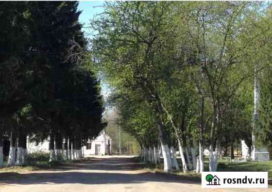 Дом 50 м² на участке 20 сот. на продажу в Вязниках Вязники