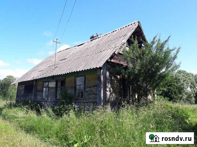 Дом 50 м² на участке 32 сот. на продажу в Великих Луках Великие Луки - изображение 1